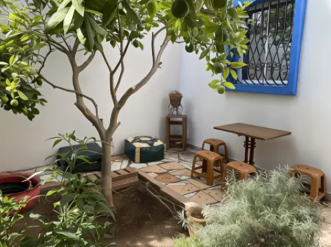 Red Carpet Surf Camp