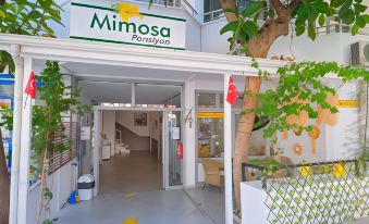 Mimosa Pension