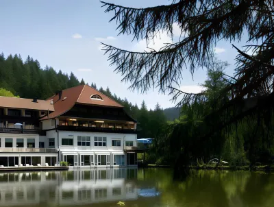 Hotel Langenwaldsee Hotel berhampiran Kleiner Wasserfall