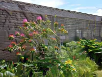 Rose Garden Bayeux Hotels in Port-en-Bessin-Huppain