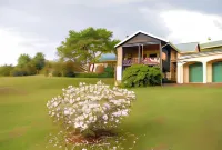 Thaba Tsweni Lodge & Safaris - Pet-friendly