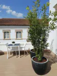 Hostel Rossio Alcobaça Hotels in Alcobaca