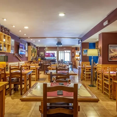 Hotel Esquirol Отели в г. Льивия