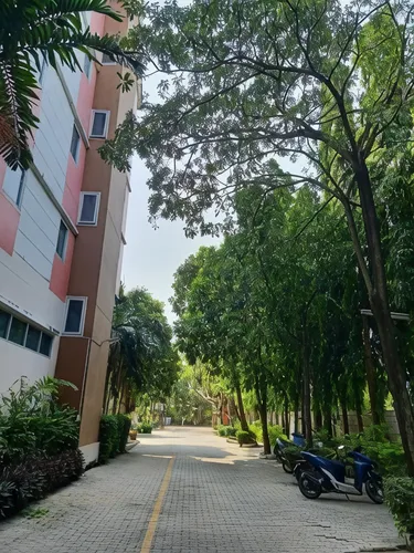 รูปภาพของนพเพลซ บางนา