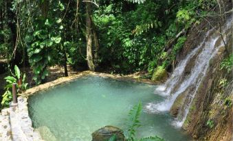 Platon Ecolodge