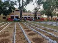 Tulin Heritage Bungalow
