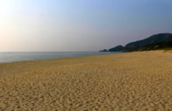 Cottage Yakusugi House