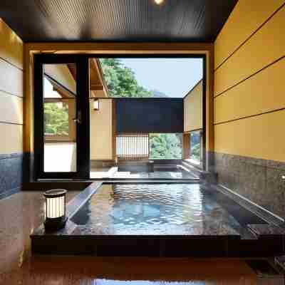 四万温泉 鹿覗きの湯 つるや Fitness & Recreational Facilities