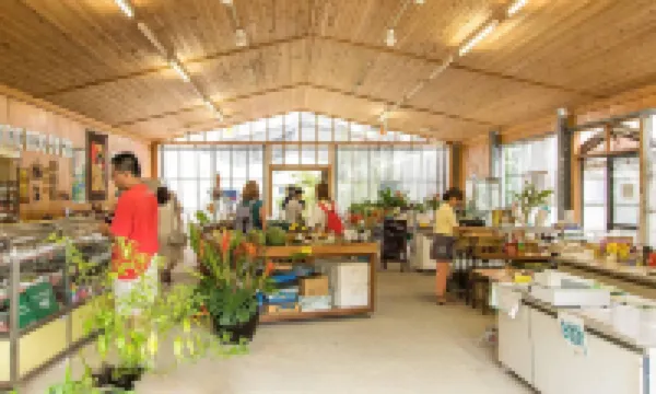 国民宿舎サンマリーナ 八丈島のホテル