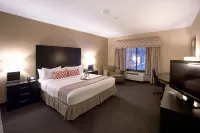 Holiday Inn & Suites ST. Paul NE - Lake Elmo 레이크엘모 호텔