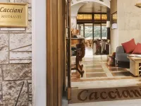 Hotel Cacciani Hotels in Frascati