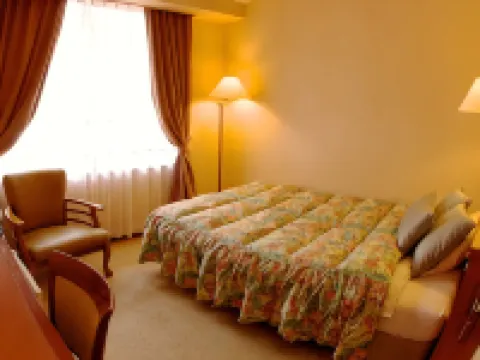 吉田屋 郡上のホテル