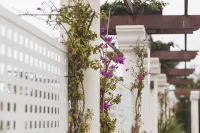 Hotel Restaurante Emilio