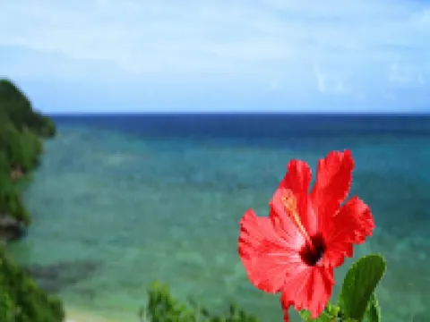 那覇空港25分/101㎡!3LDK/最大12名様まで/駐車場2台無料 浦添のホテル