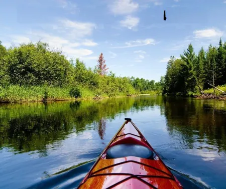 Peaceful, Relaxing & Quiet Home With A Private Fenced Yard In Ocala-Pet Friendly