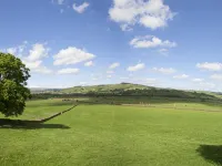 Throstle Nest Farm - Homestays