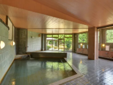 Chausuyama Onsen Mori No Yado Yuuseikan Hotels in Shimoina District