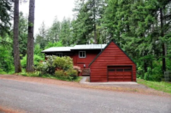 Naked Elk Lodge: 4 Bdrms, Hot Tub, Projector TV near Mt. Rainier