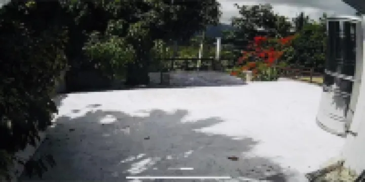 Lucky Luquillo's 100% Solar Blue Flag Beach & El Yunque Rainforest Retreat