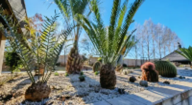 基度山鄉村旅館 住宿飯店