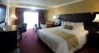Best Western Plus South Bay Hotel