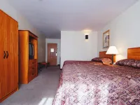 Texan Inn by OYO Beeville US-181 Hotels in Bee County