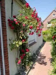 Neu Inseriert! Ferienwohnung Warfthuus in dem Wunderschönen Warftendorf Rysum - Wi-Fi