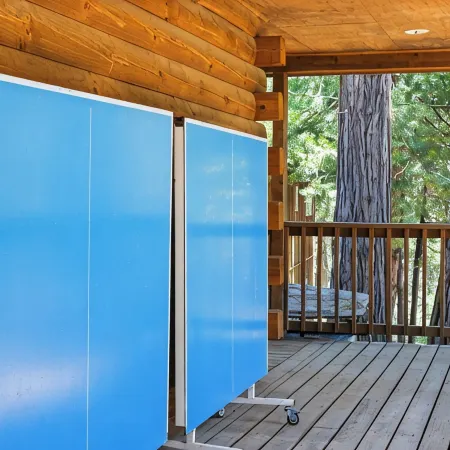 Serene 4 bedroom Cabin in Southern Sierras Near Kernville/Lake Isabella