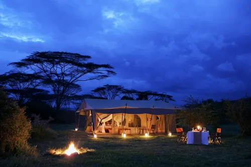 Saruni Wild - 4-Star