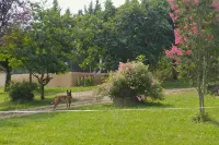 Le Petit Paradis - Cottage for 8 people with Private Pool in the Countryside