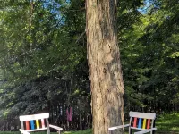 Mondrian Manor - Cottage in the lower Catskills near Ellenville and Wurtsboro ママカティングのホテル