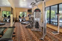 Holiday Inn Express MORGANTOWN by IHG - Gym