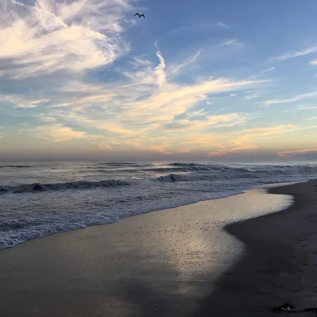 Hamptons Waterfront- On A Sandy Beach- Relax & GetawaySH)