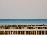 Vacation apartment Lee, experience peace and quiet on the natural beach of the Baltic Sea Hotels in Dranske