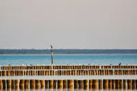 Vacation apartment Lee, experience peace and quiet on the natural beach of the Baltic Sea
