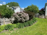 Saratoga Retreat with Heated Saltwater Pool - Wi-Fi