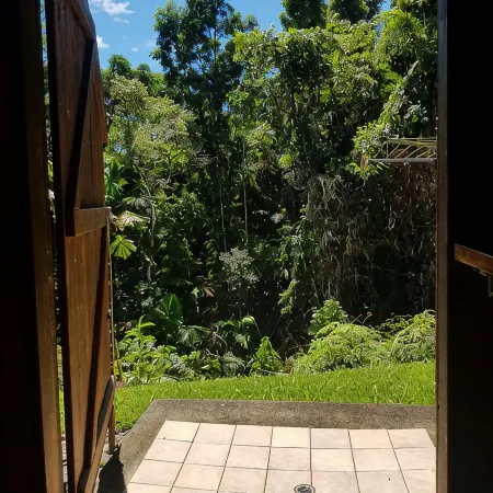 Daintree Holiday Homes - La Vista - Ocean Views with Private Pool & Jet Spa Отели в г. Дайнтри