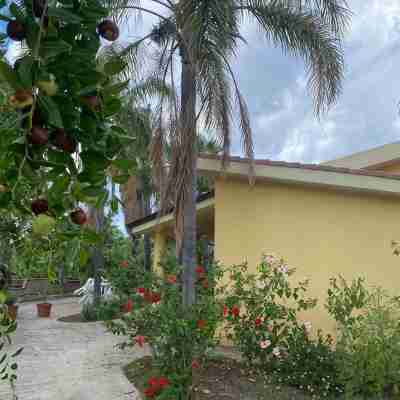 DESCRIZIONE STRUTTURA Hotel Exterior