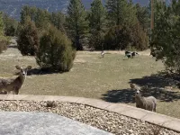 Luxury Lake House with Amazing Views of Glendo Lake and Mountains