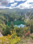 Cozy Cottage Minutes from the National Park, Trails + Beaches (Dog Friendly - 4-Star