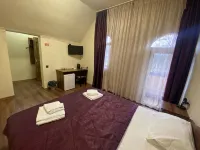 Feniks Mini-Hotel โรงแรมในคาลินินกราด