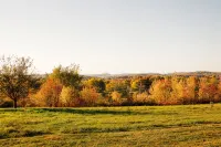 King Suite,Hot Tub,Pretty Hilltop View, - 3 stelle