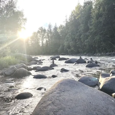 Mid century riverfront cabin. Hot tub, Pet friendly, Riverview