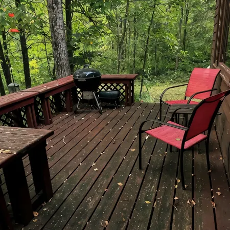 Secluded pet friendly cabin on 40 acres with frontage on the Kettle River