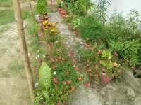 Atithi Home Stay and Cloud Kitchen