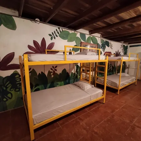Madre Selva Jungle Hostel Отели в г. Коклес