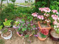 Gyeongju Pine Fragrance Pension Hotels near Yangsanjae