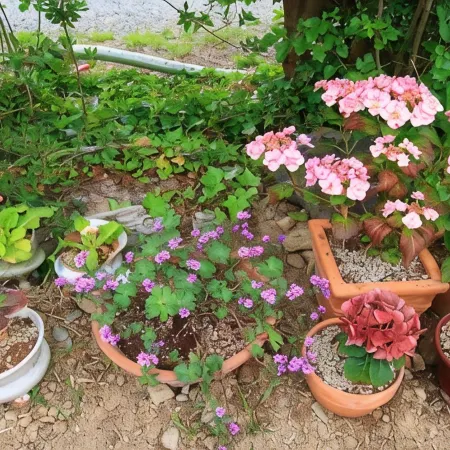 Gyeongju Pine Fragrance Pension Отели рядом с достопримечательностью «Станция Singyeongju»