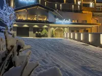 Aktiv- & Wellnesshotel Bergfried Ξενοδοχεία στην πόλη Tux