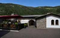 First Mountain Hotel Zillertal - Kæledyr tilladt
